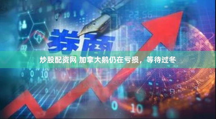 炒股配资网 加拿大鹅仍在亏损，等待过冬